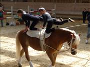 voltitag 2009 _CD1 143